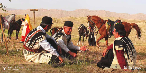 Nomadic Persian Rugs-Boustani Carpet-Bakhtiari.1